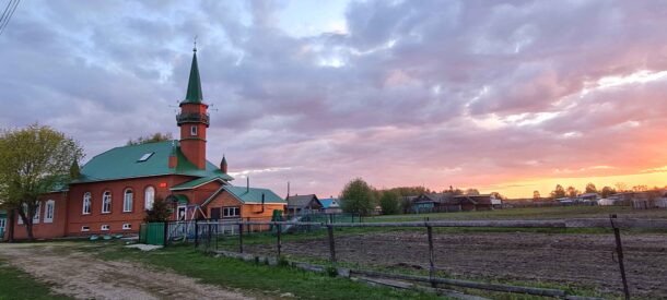 Сбор - изображение №24